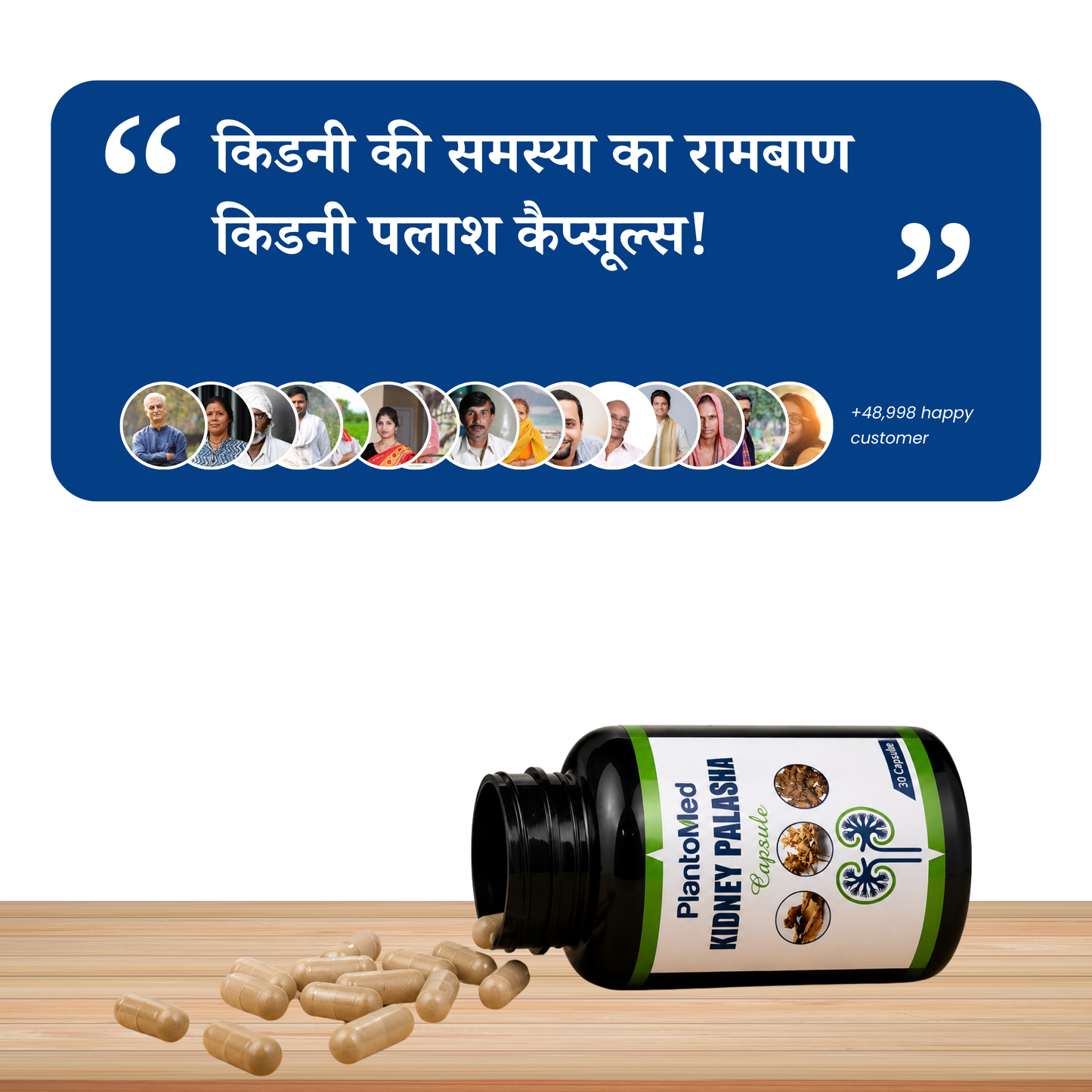 PlantoMed Kidney Palasha Capsules