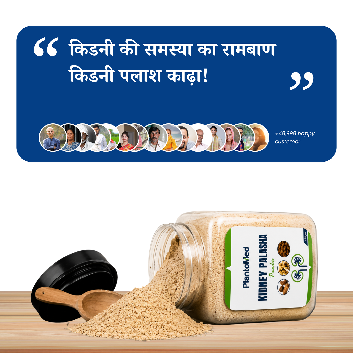 PlantoMed Kidney Palasha Powder