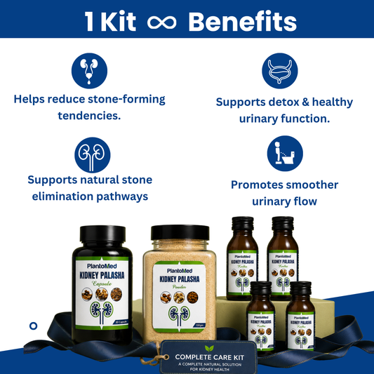 PlantoMed Kidney Palasha Kit