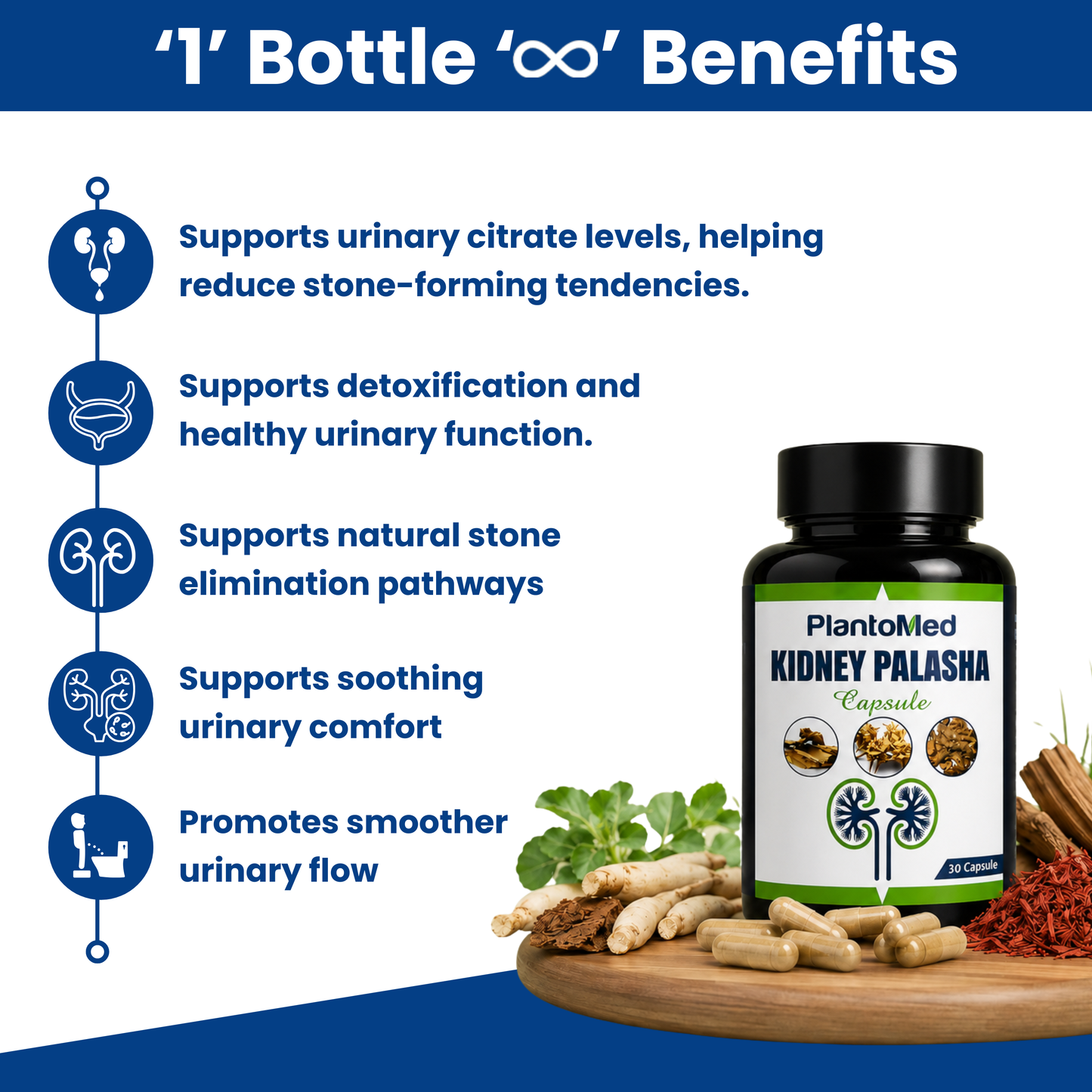 PlantoMed Kidney Palasha Capsules