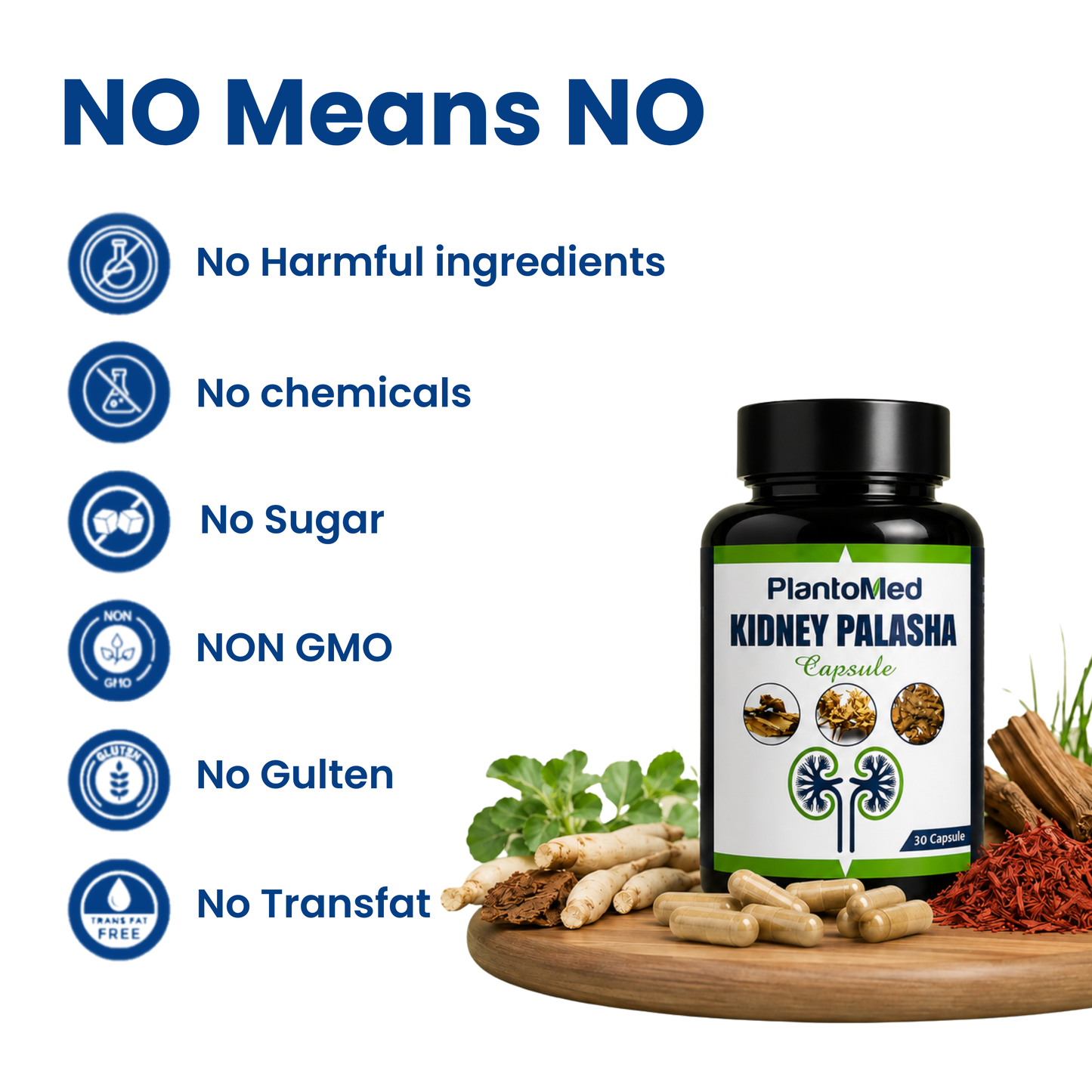 PlantoMed Kidney Palasha Capsules