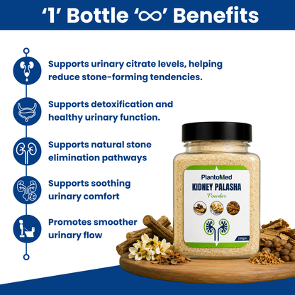 PlantoMed Kidney Palasha Powder
