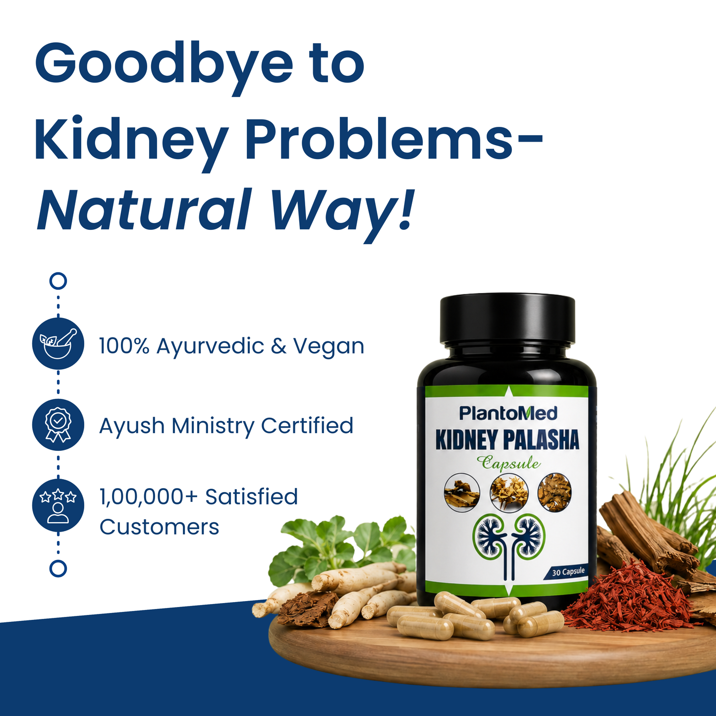 PlantoMed Kidney Palasha Capsules