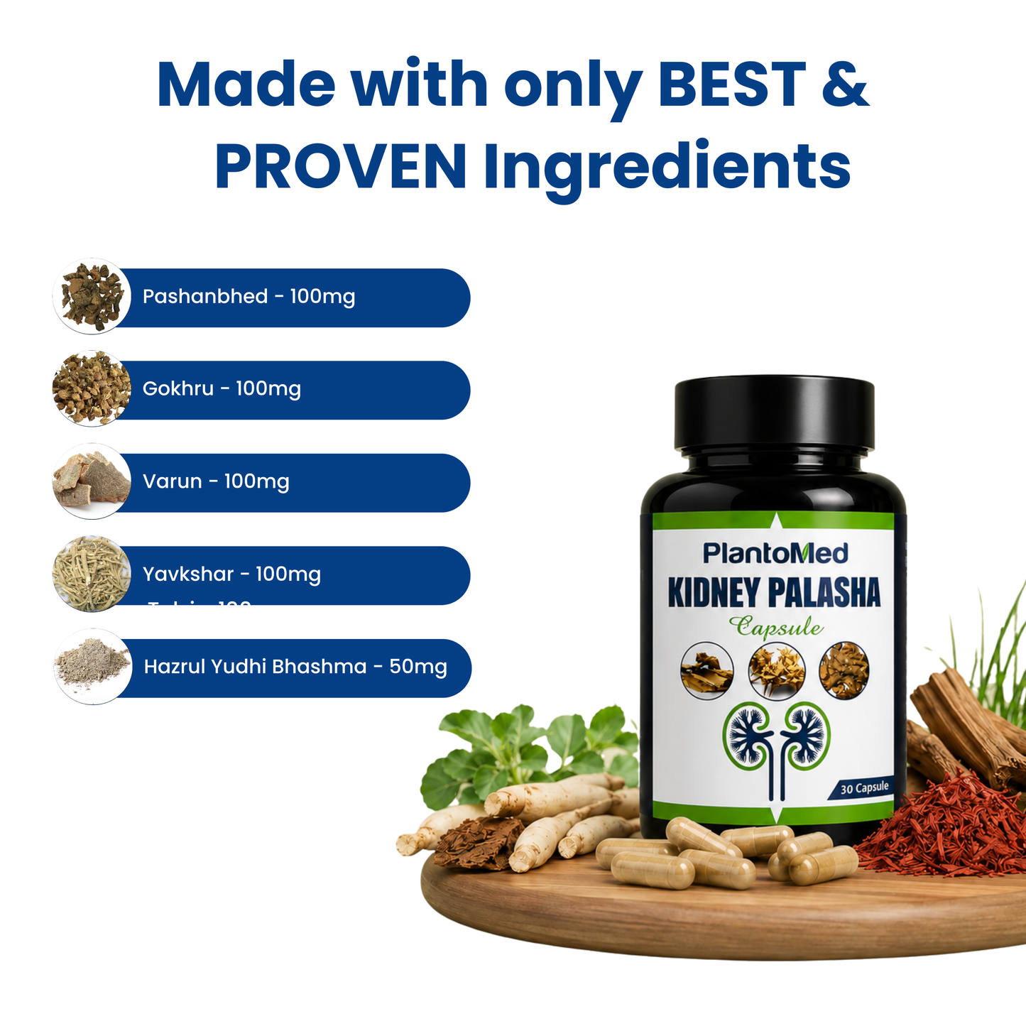 PlantoMed Kidney Palasha Capsules
