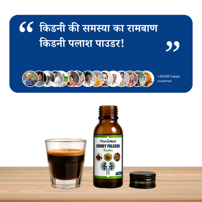 PlantoMed Kidney Palasha Kadha (Pack of 4)
