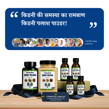 PlantoMed Kidney Palasha Kit