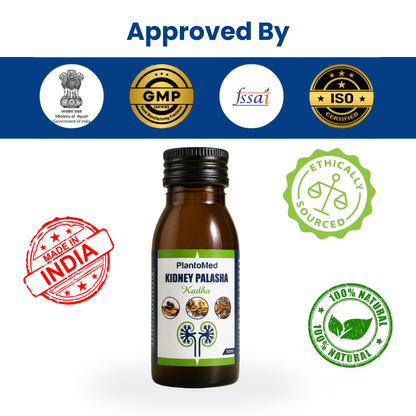 PlantoMed Kidney Palasha Kadha (Pack of 4)