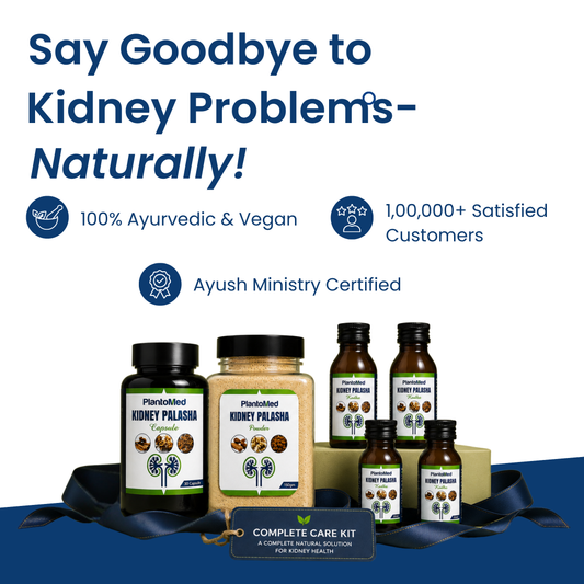 PlantoMed Kidney Palasha Kit