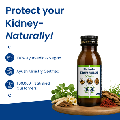 PlantoMed Kidney Palasha Kadha (Pack of 4)