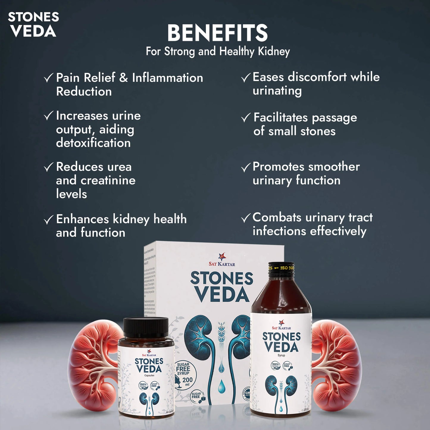 STONES VEDA KIT (Capsules+Syrup)